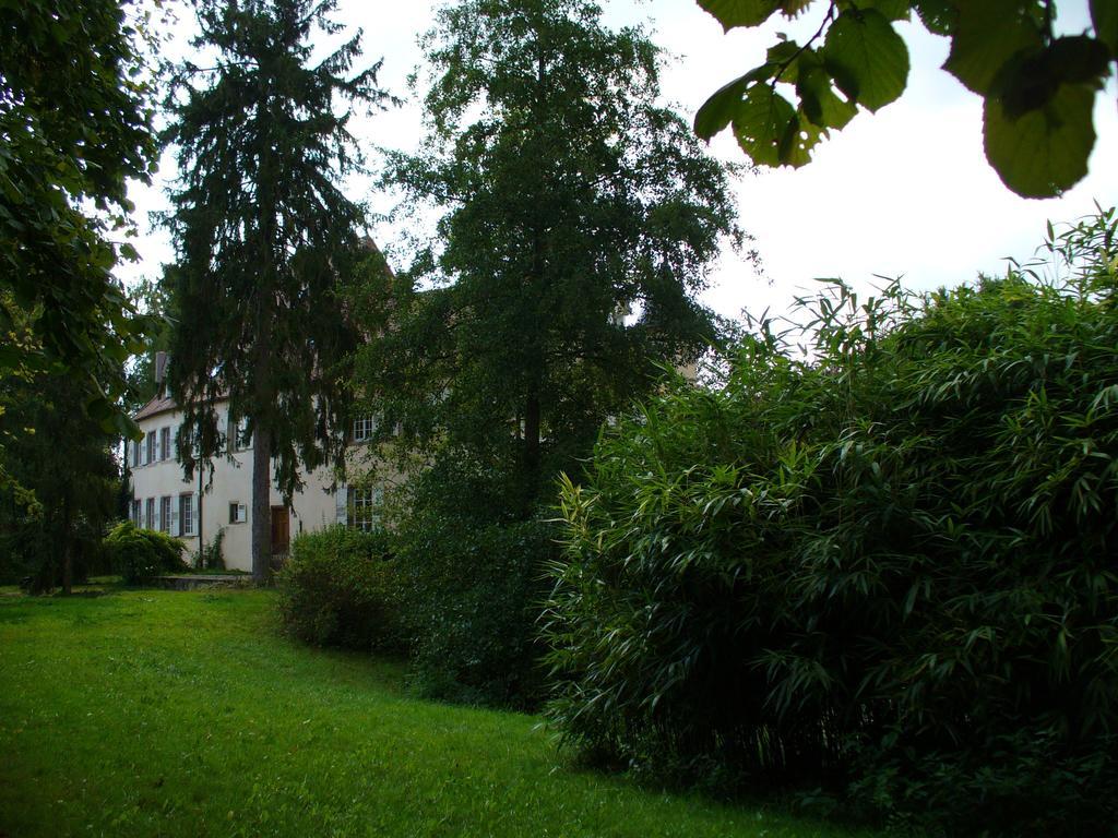 Chateau De Werde Matzenheim Exteriér fotografie