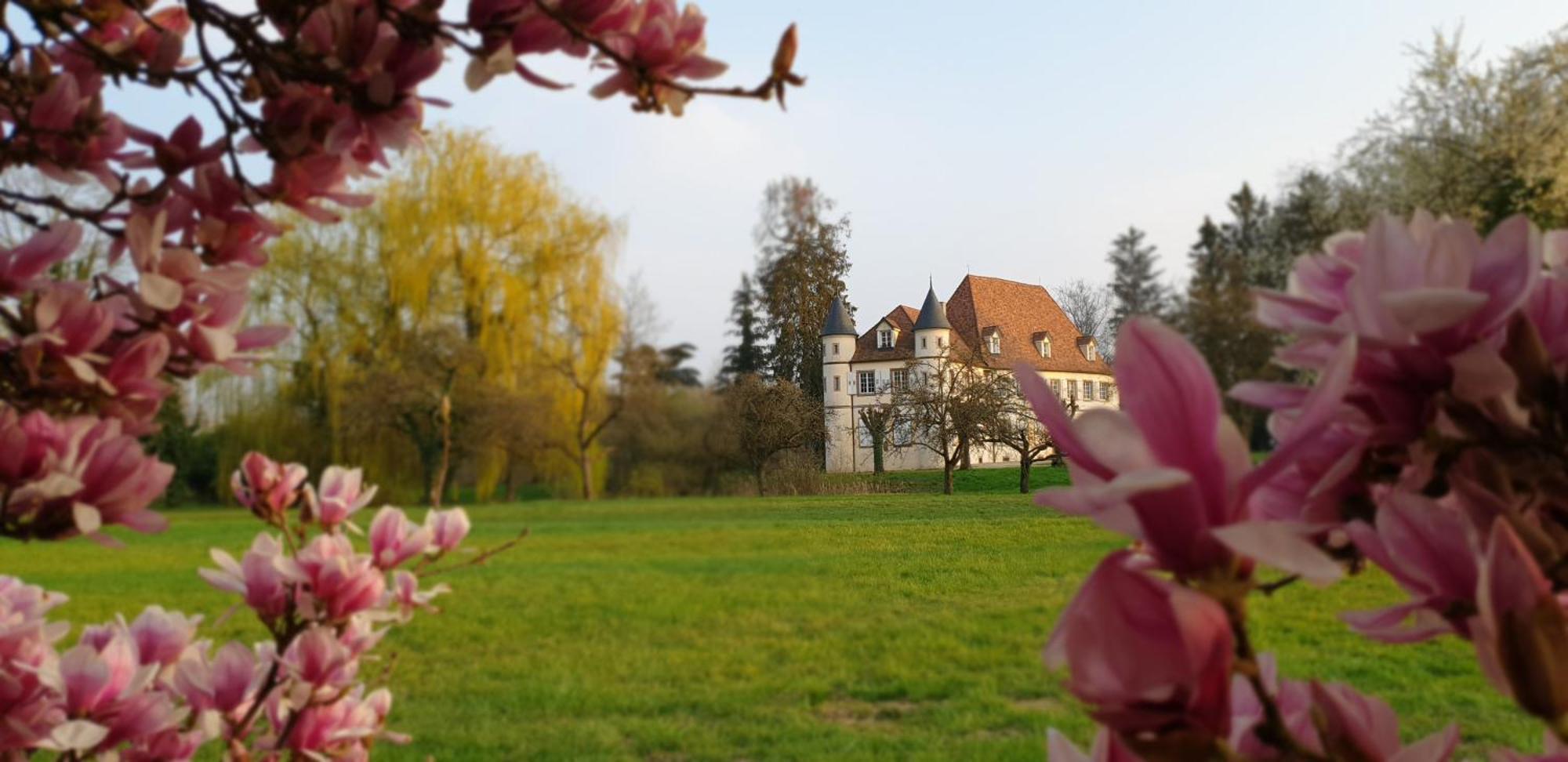 Chateau De Werde Matzenheim Exteriér fotografie