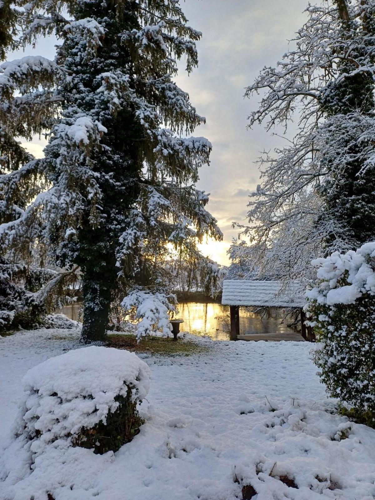 Chateau De Werde Matzenheim Exteriér fotografie